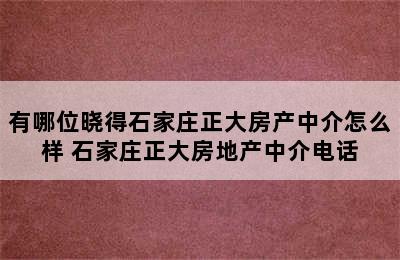 有哪位晓得石家庄正大房产中介怎么样 石家庄正大房地产中介电话